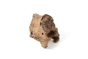 Image description is not available for 1983.4.1